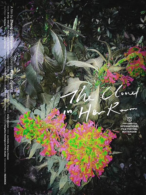 Облако в её комнате 