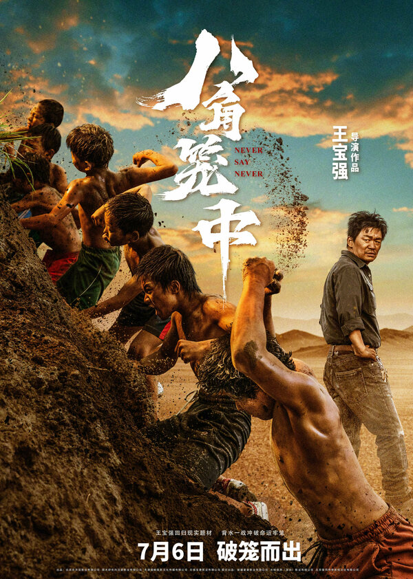 Никогда не говори «никогда» 